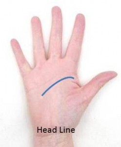 Head Line on Palm