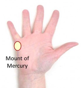 Mount of Mercury on Palm