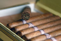 Sometimes, There Are Smells